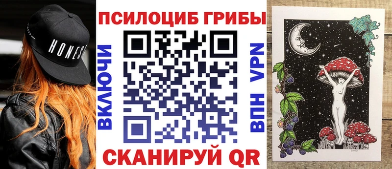 где купить наркоту  Алзамай  Псилоцибиновые грибы MAGIC MUSHROOMS 