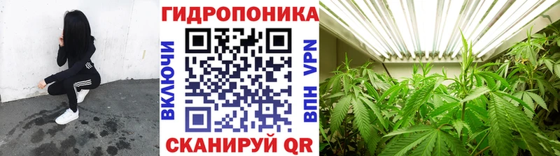 купить закладку  Алзамай  Марихуана марихуана 